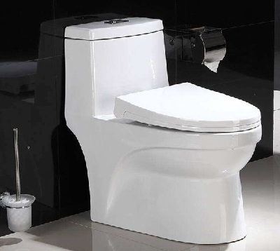 UF toilet seat lid molding machine