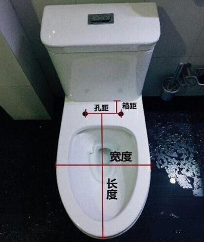 toilet seat lid