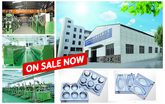 مصنع shunhao للآلات والعفن
